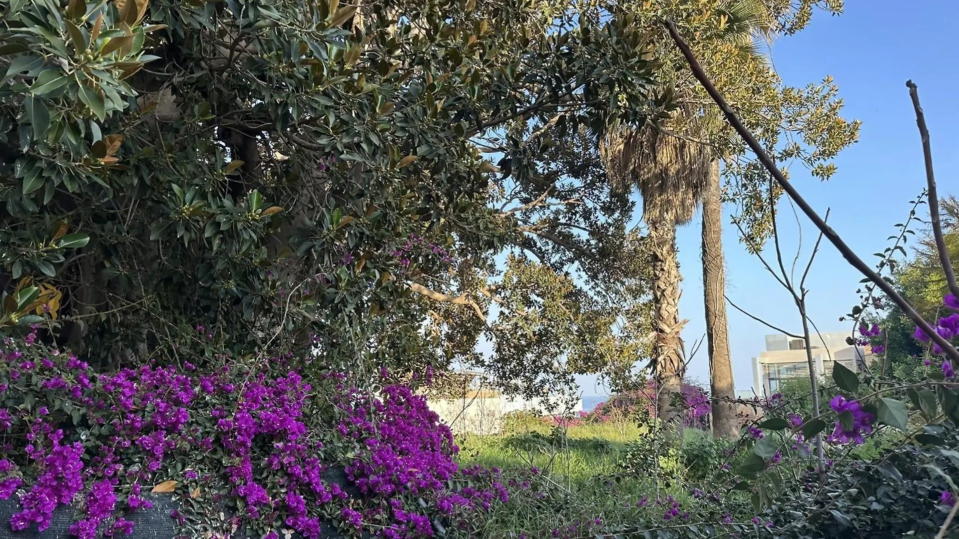 Apartamento En Pleno Centro De טורמולינוס